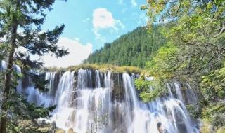 一对一全陪导游